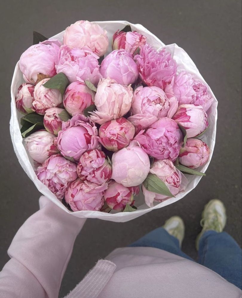 Пионы все сорта, свежие голландские