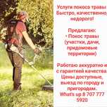 Покос травы, быстро, не дорого!