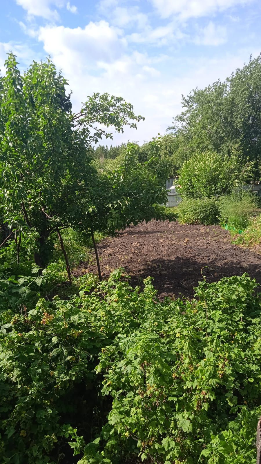 Продам дачу "Гудок"