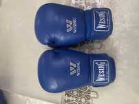 Перчатки Wesing,Grant