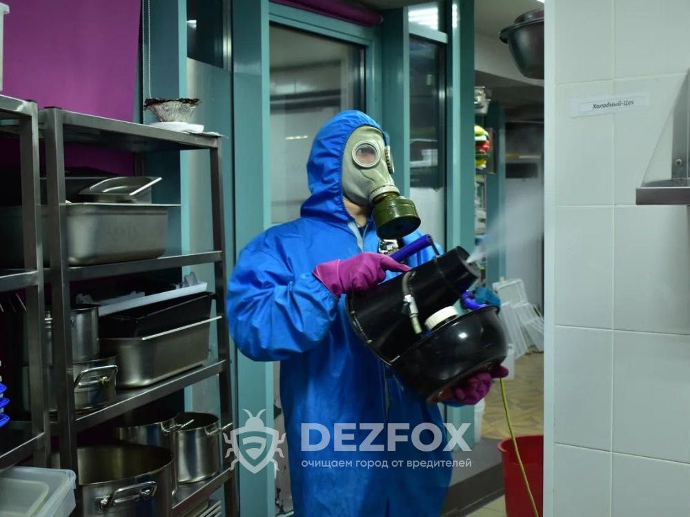 СЭС Дезинфекция Дезинсекция Дератизация От Тараканов Мышей Помещений