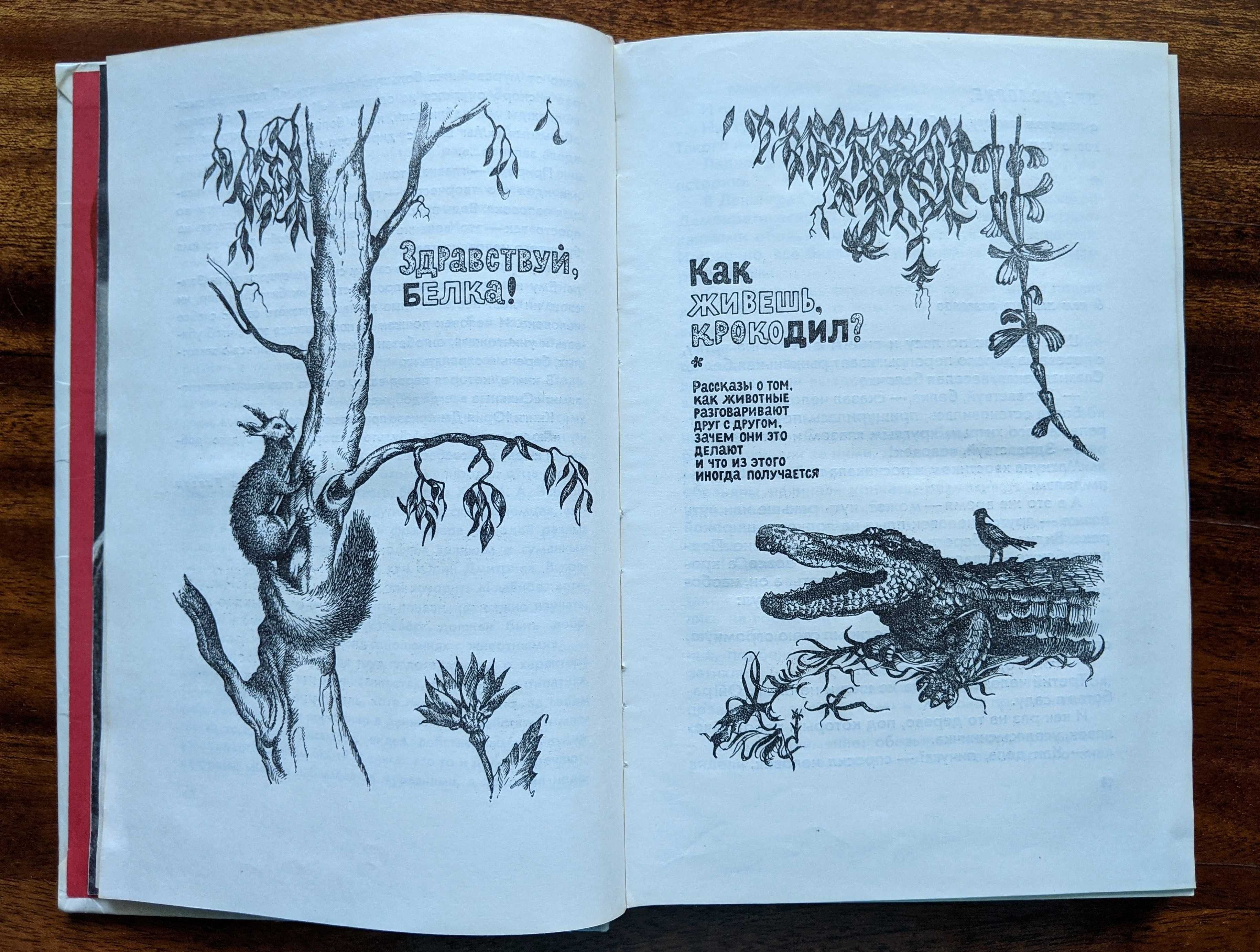 Детская книга-энциклопедия о животных «Если посмотреть вокруг»