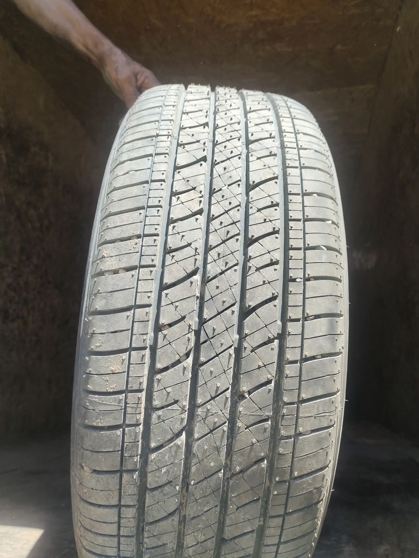 Догалак сатам, Bridgestone