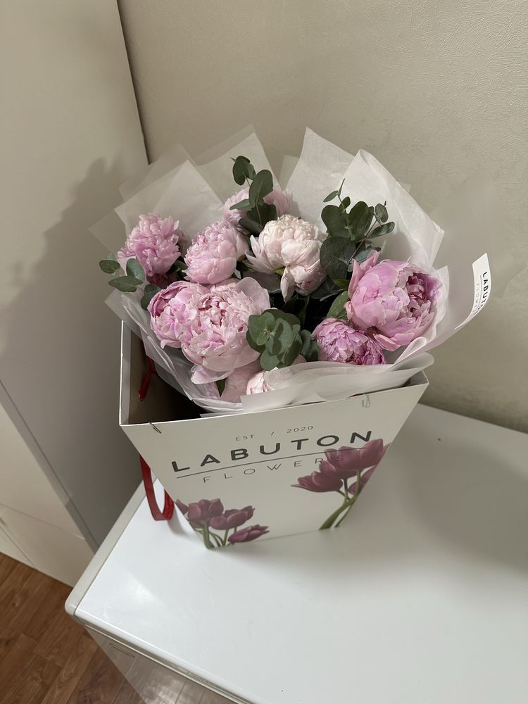 Цветы пионы Labuton