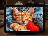 iPad mini 6 64Gb