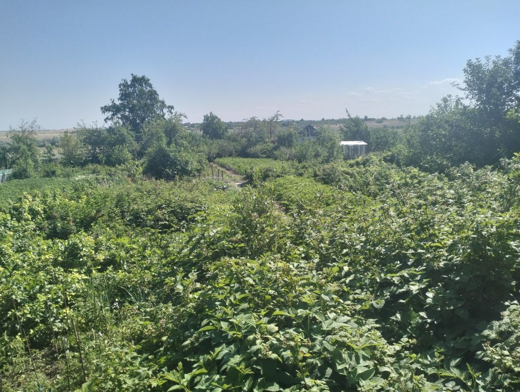 Продается Дача в Обществе трест МЖС
