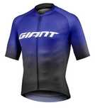 Джерси Giant L

Описание:
Продаю новое д