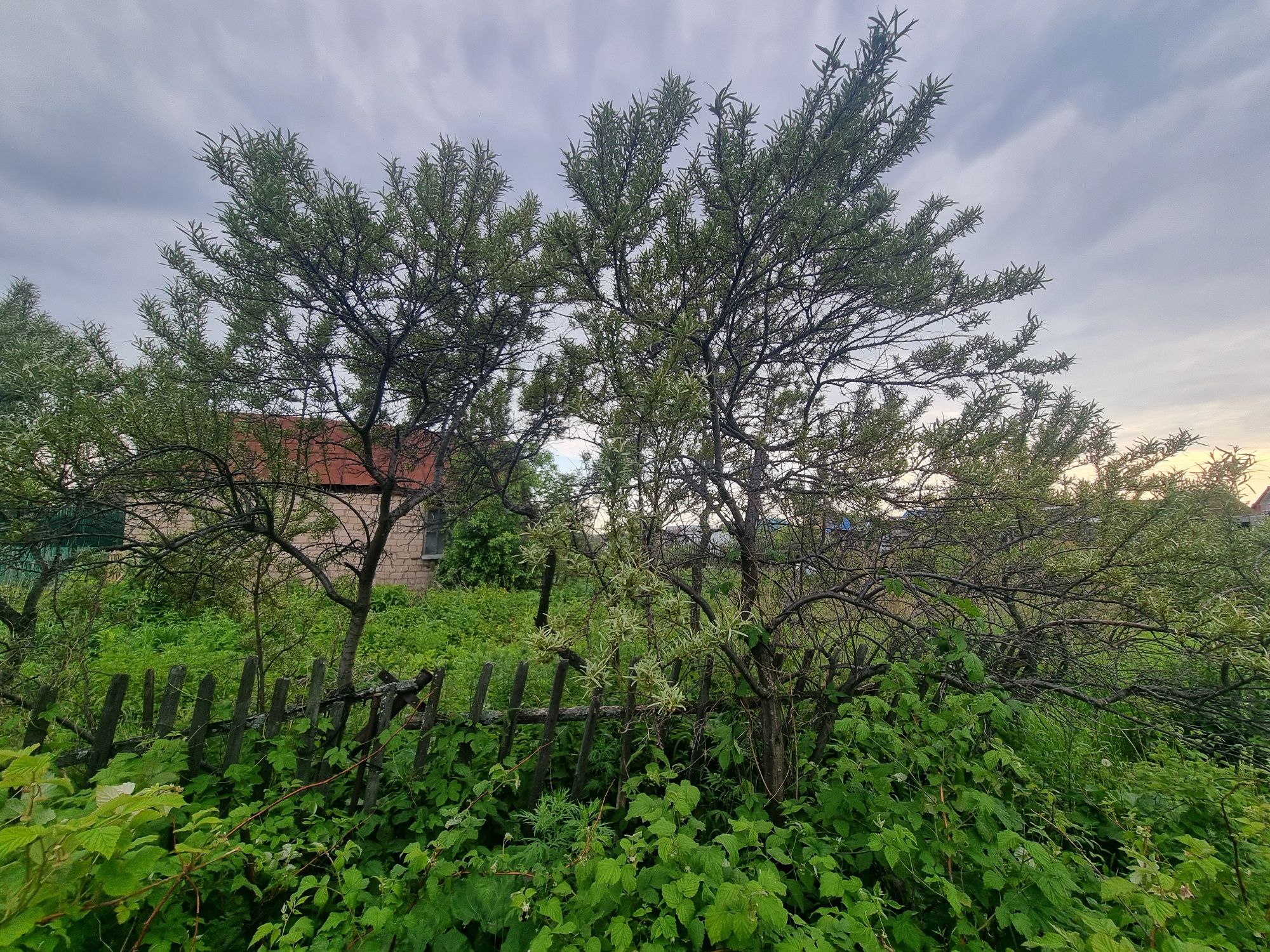 Продам дачу в Новопавловке. Д.О. Романтик
