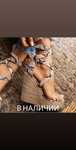 Продам босоножки