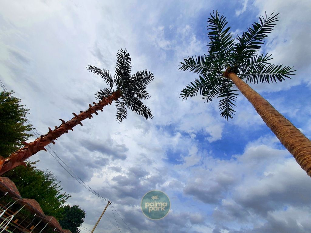 Искусственные пальмы на заказ от производителя  Palma Park