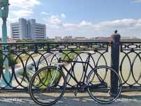Bear bike Madrid 4.0
