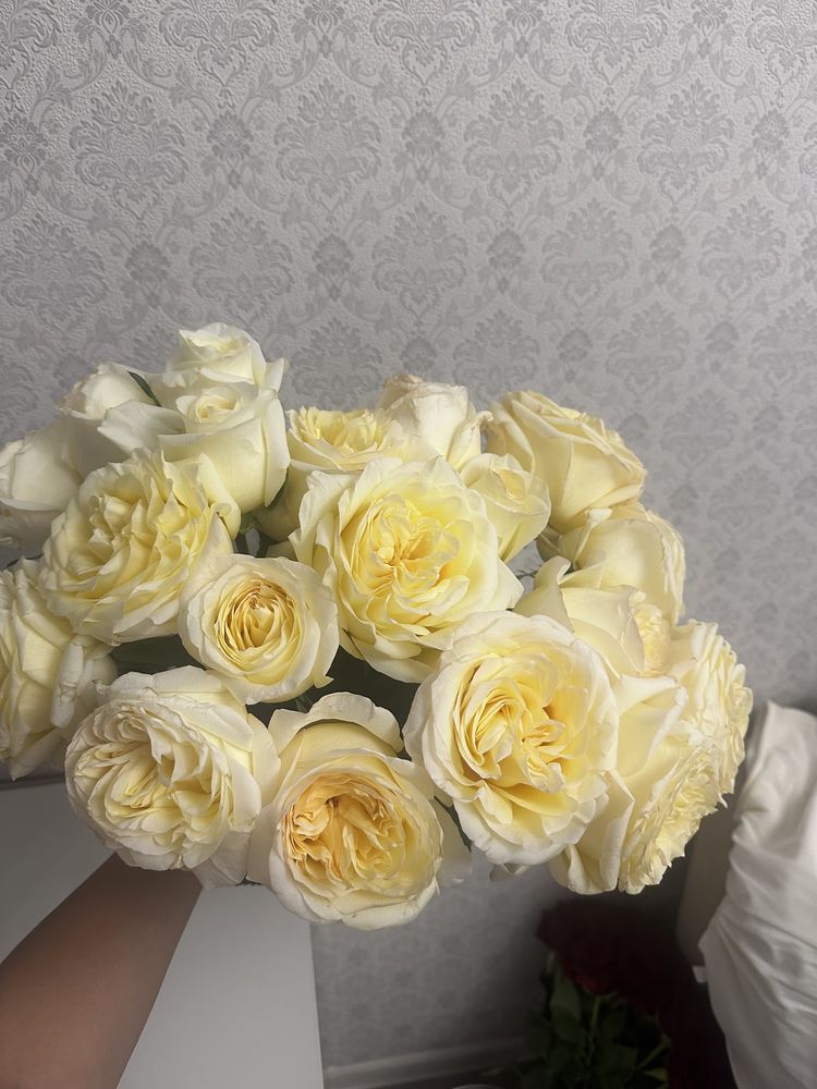 Продам розы 19 штук