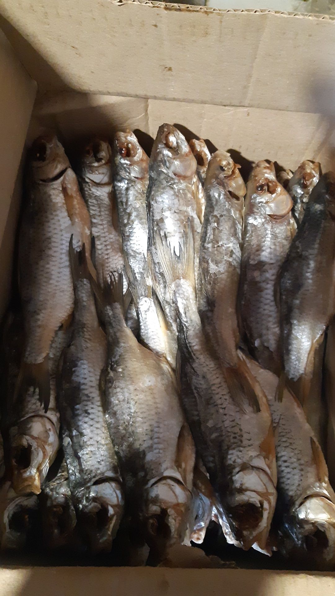 Продам рыбу сушёную и копчёную (вобла, лещ, чехонь, рыбец, сом, жерех)