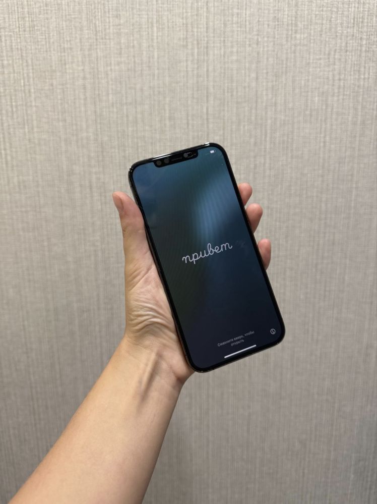 iPhone 12 pro max