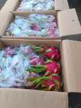 Продам фрукт-сердце дракона! Коробка -2500,ТГ