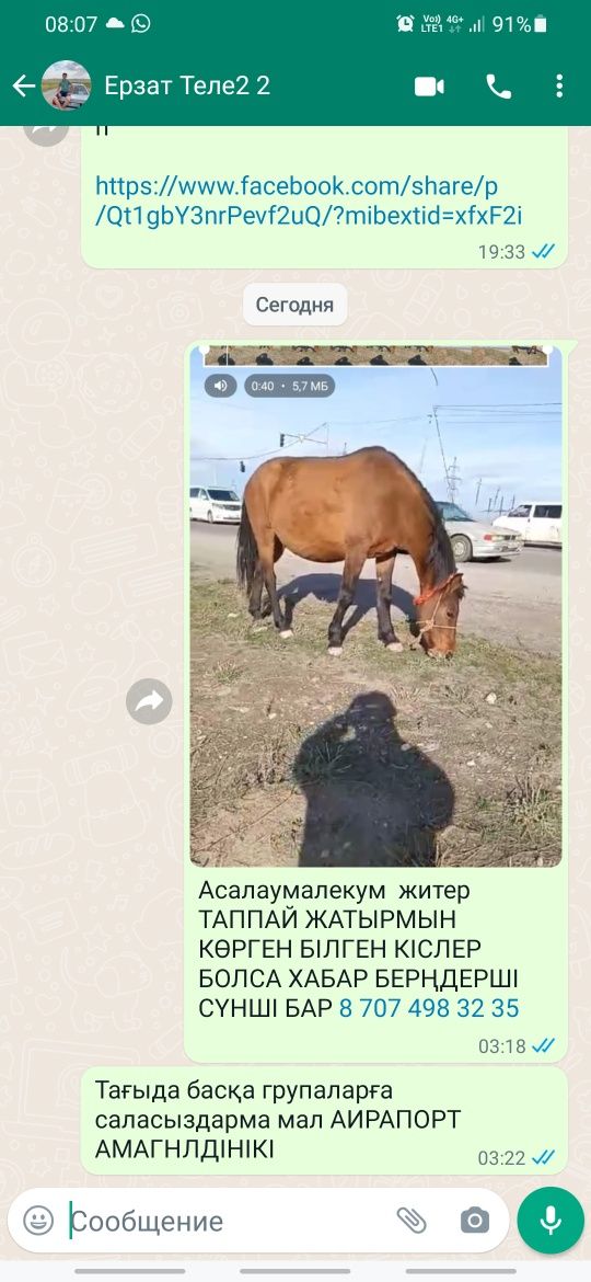 МАЛ ЖОГАЛДЫ АҒАЙН СҮИІНШІ БАР 100000 береміз  мал АЙрапот Амангелдіден