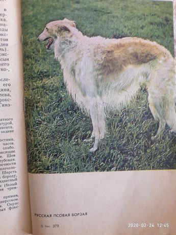 Охота охотничье собаководство