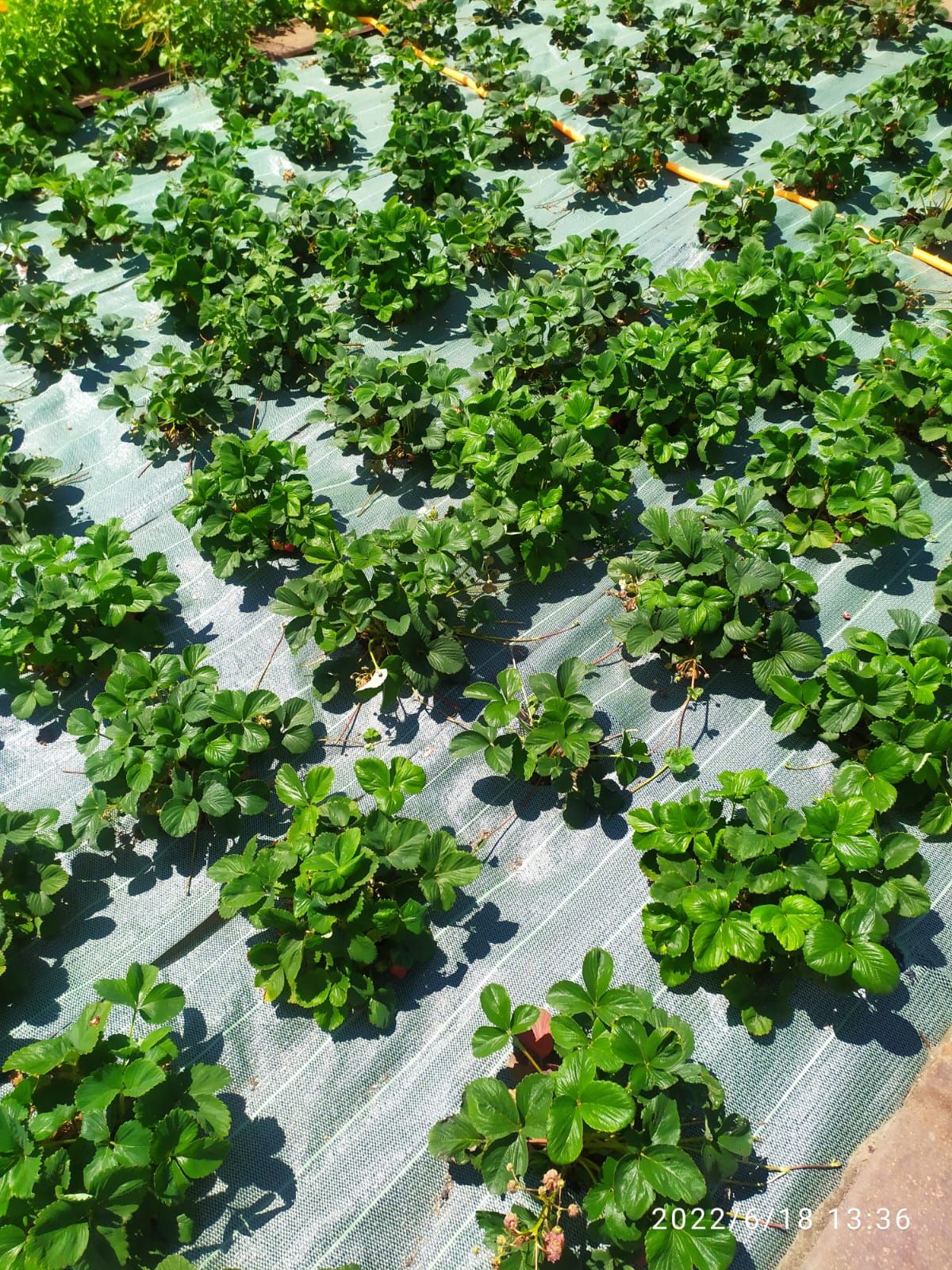 Продам классную дачу в которой можно жить весь сезон.