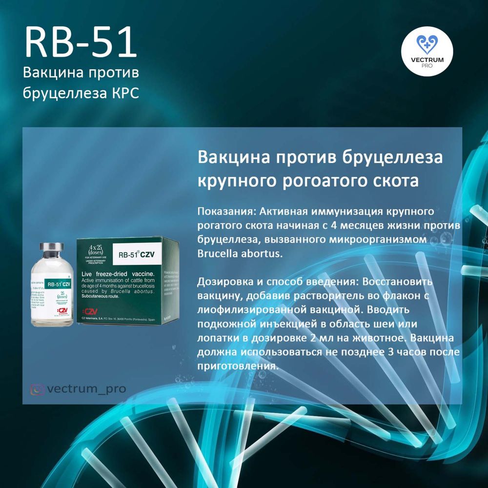 RB-51 вакцина против бруцеллеза крс