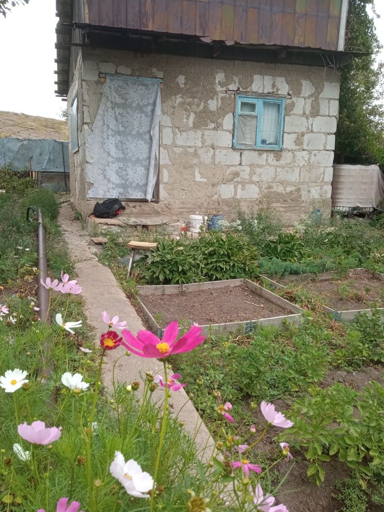 Продаю дачу с участком  7 соток с уражаем