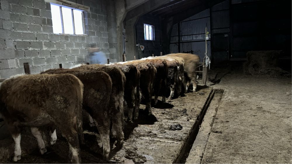 Срочно продам или сдам в аренду базу с земельным участком