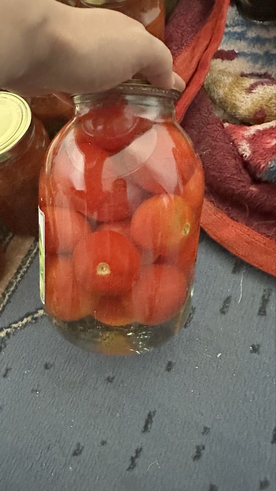 Смородина дачная