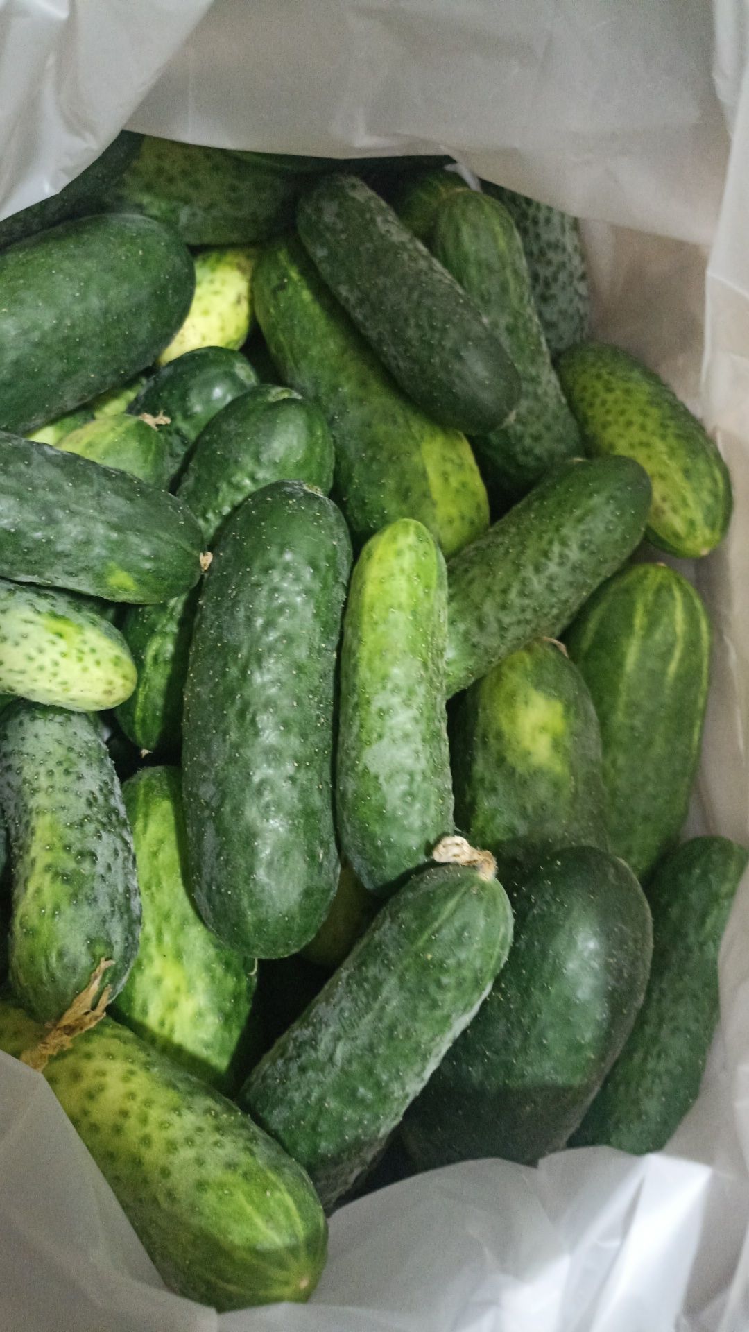 Продам огурцы домашние