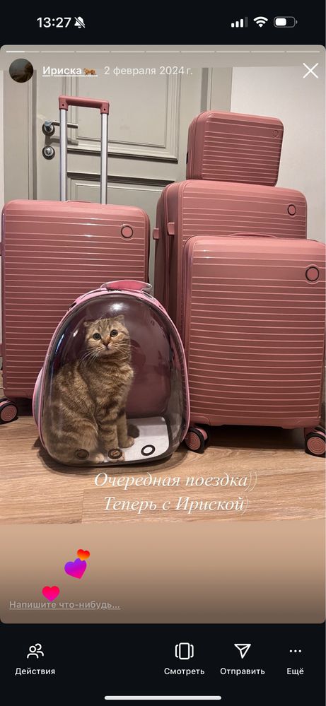Отдам котенка в хорошие руки,очень умная вислоухая,стерелизованная