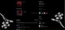 44lvl,3000h+prime cs2,dota2 2350mmr,profile skywhywalker (style)