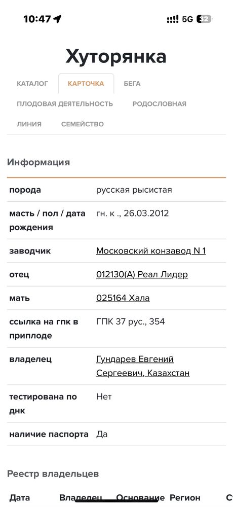 В продаже Рысак-Жорга хорошей линией!