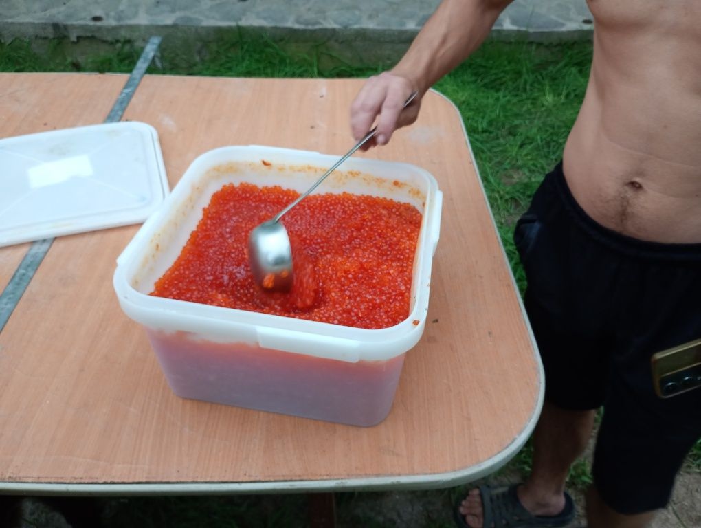 Продам красную икру кета