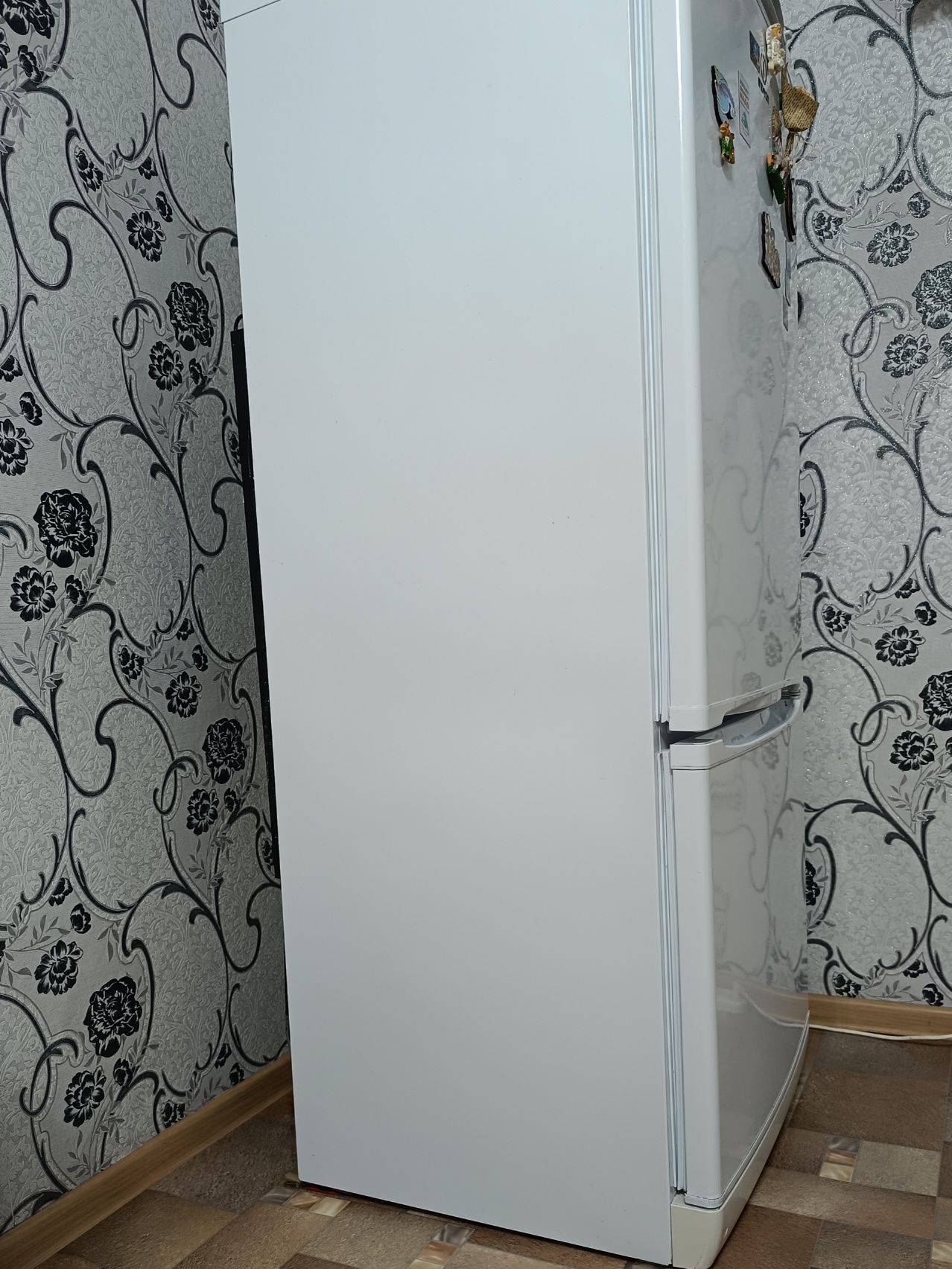 Продам холодильник Indesit