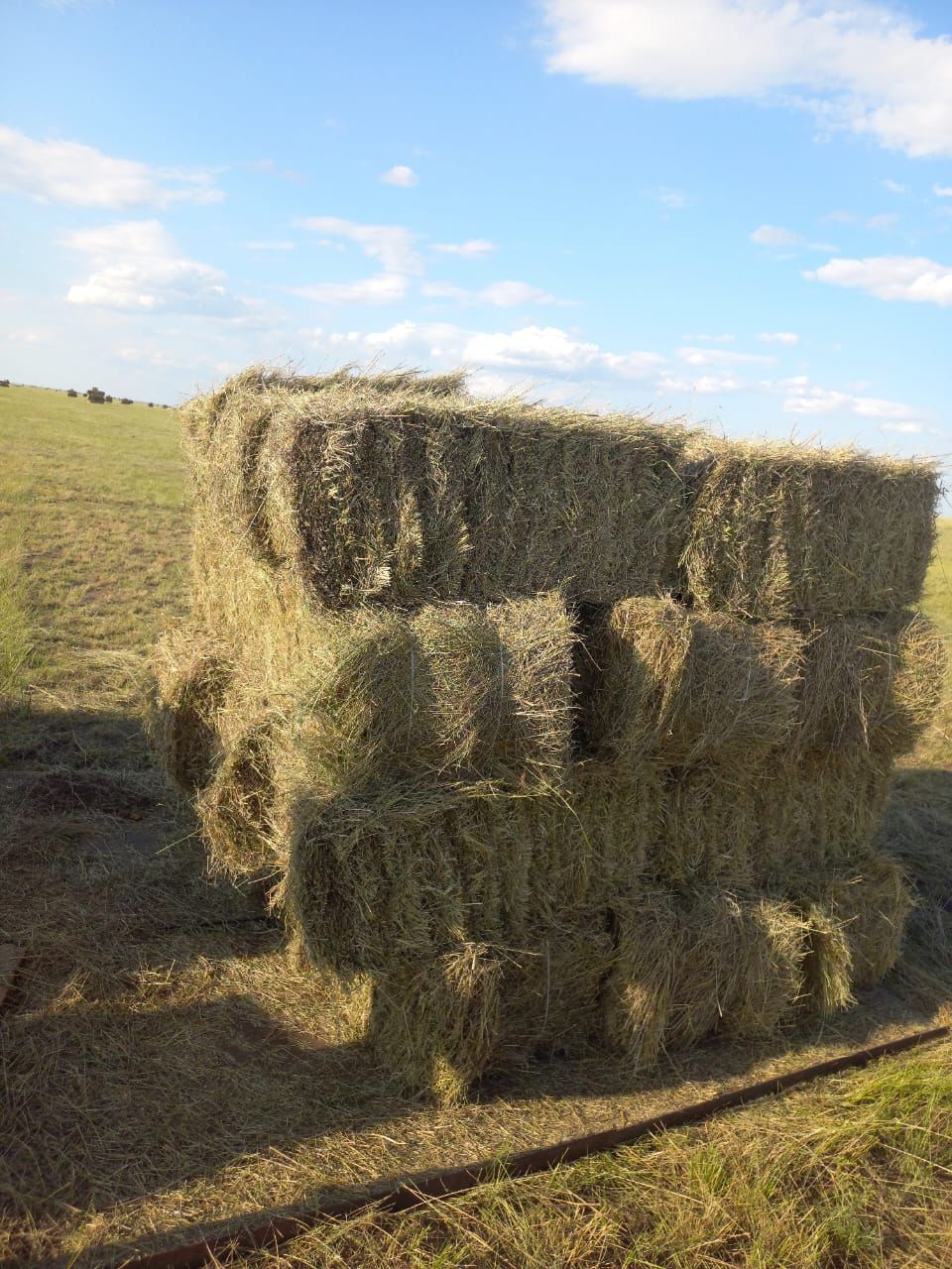 Продам сено тюках