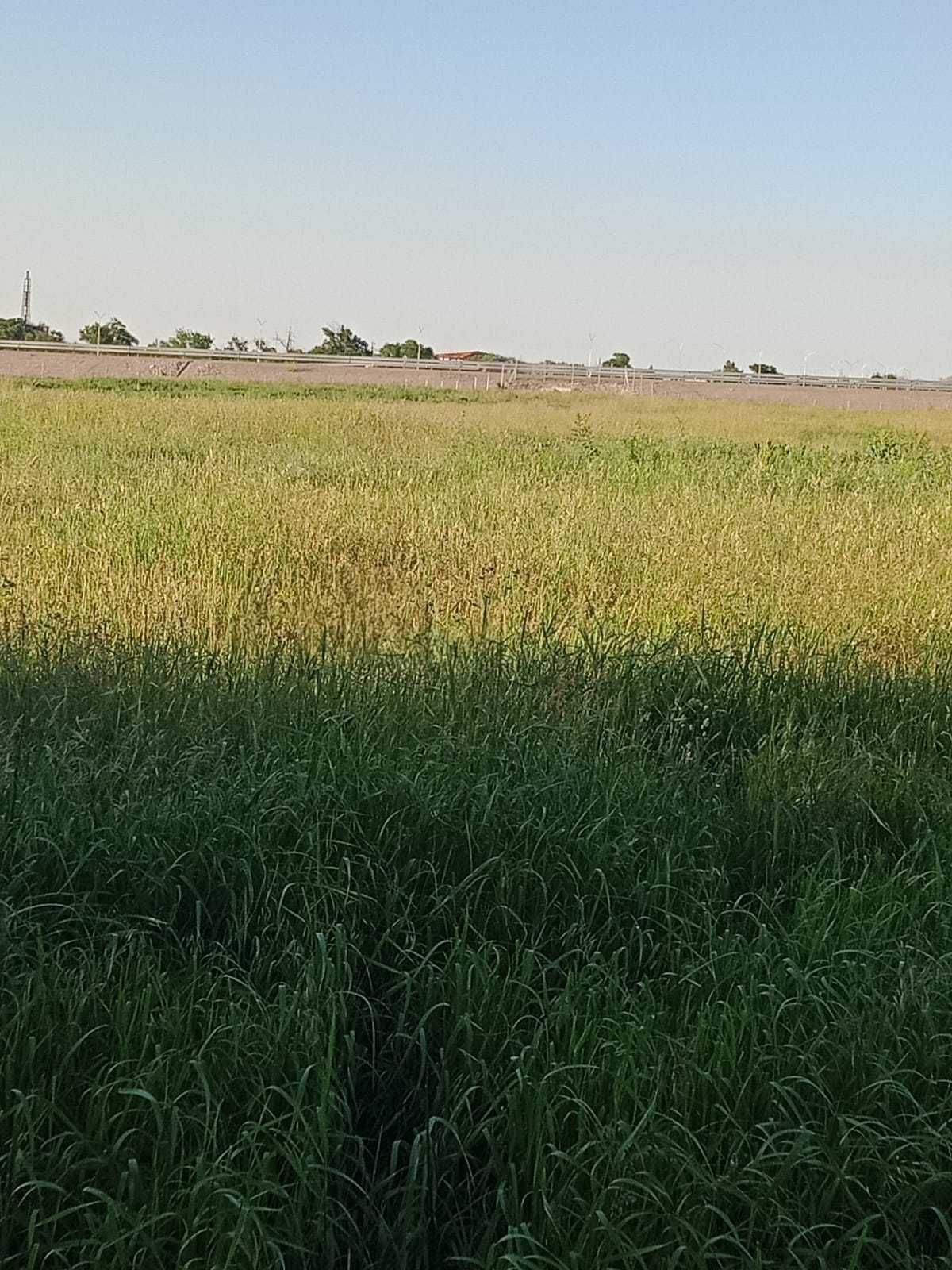 Продаётся земельный участок