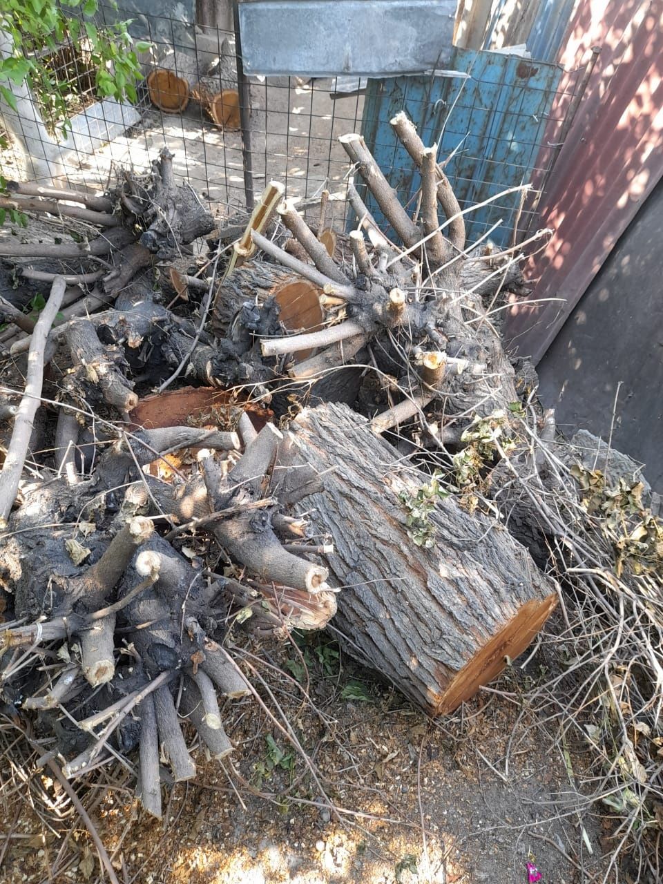 Дрова пиленные самовывоз