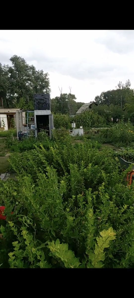 Продам дачу на Большом острове (Холодный ключ)
