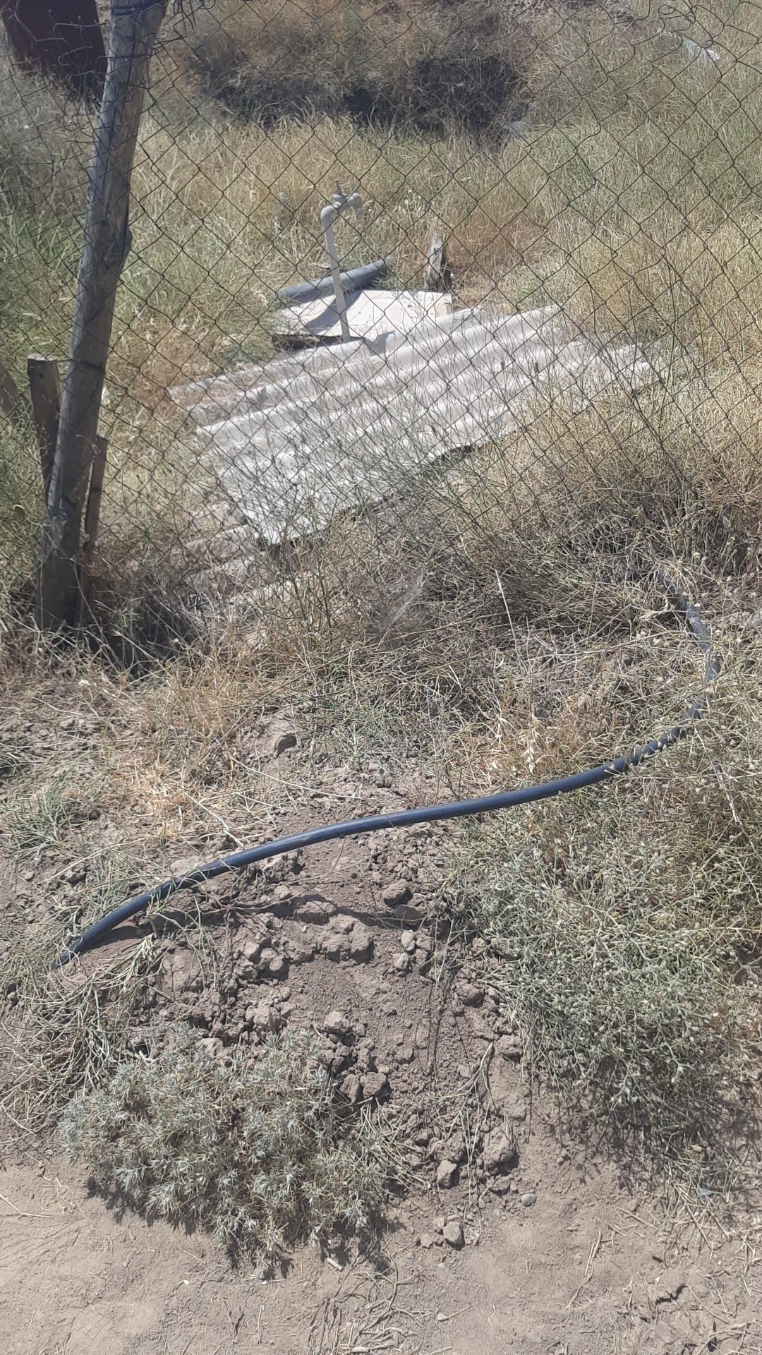 Сдам дом в аренду
