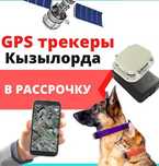 Спутниковый GPS трекер SmartOne C / Для лошадей, коров, быков