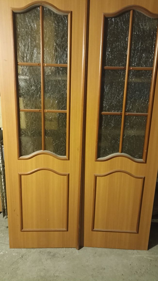 Двери для зала иодинарный