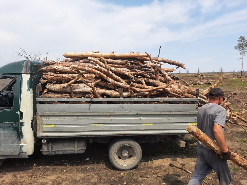 Дрова сухие газель
