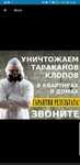 Дезинфекция от клопов и тараканов 7000тг.