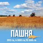 Пашня, земля 15 500 га, КХ, ТОО, участок, поле, сельхоз