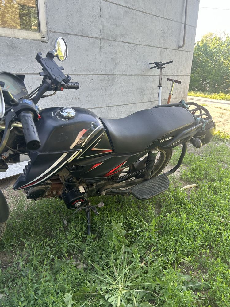 Альфа шарк 125 кубов
