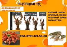 Раки в продаже сильный крупный