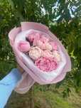 Пионы Голландские Розы