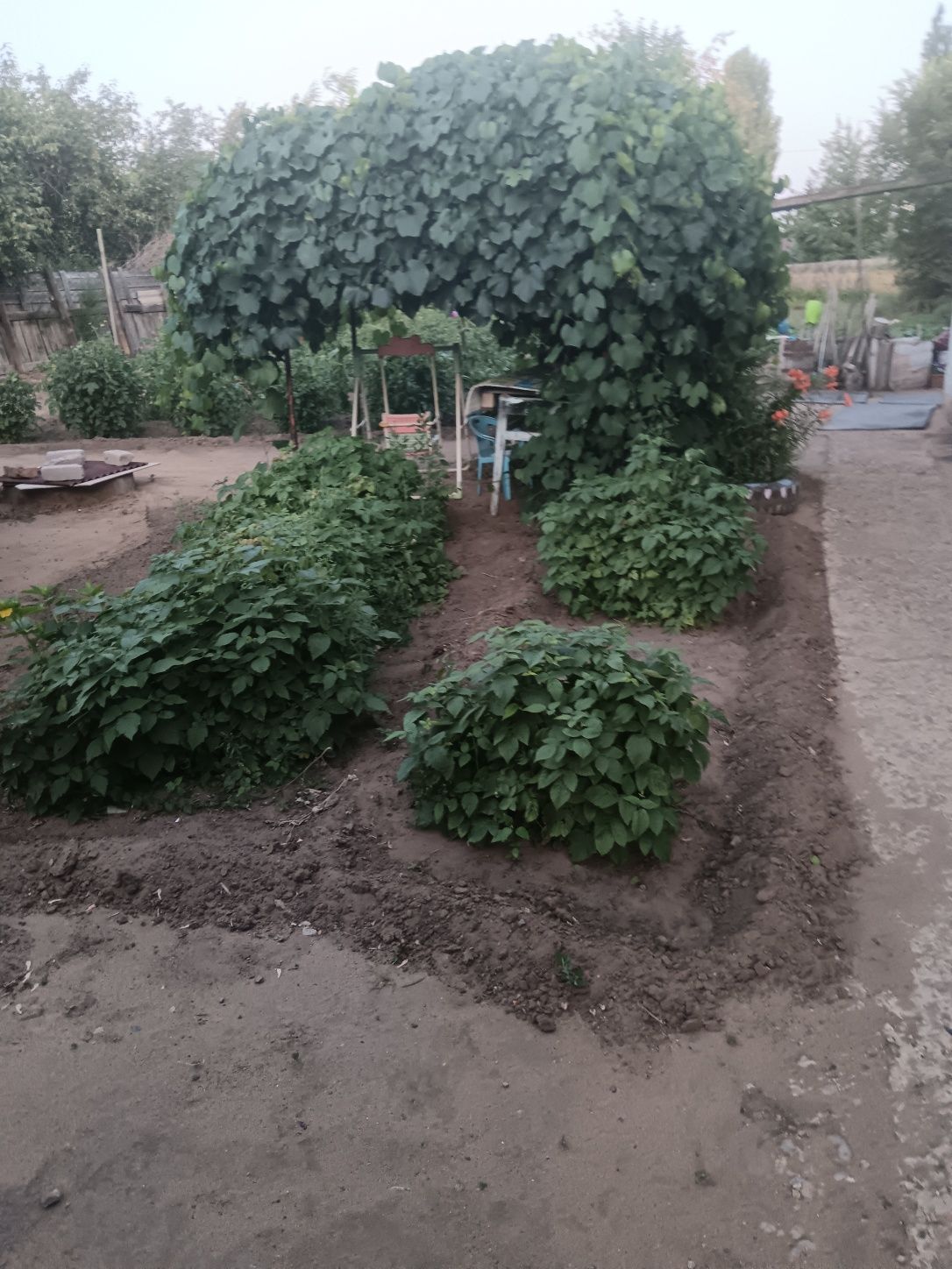 Продам участок 12 соток с домом