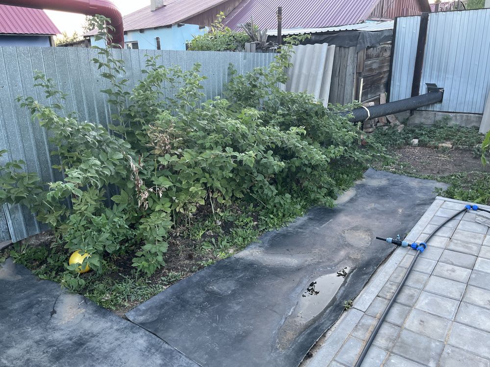 Продаётся  дом в Михайловке