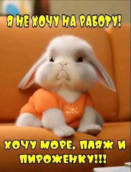Няня на час . Уборка квартиры на час боралдай