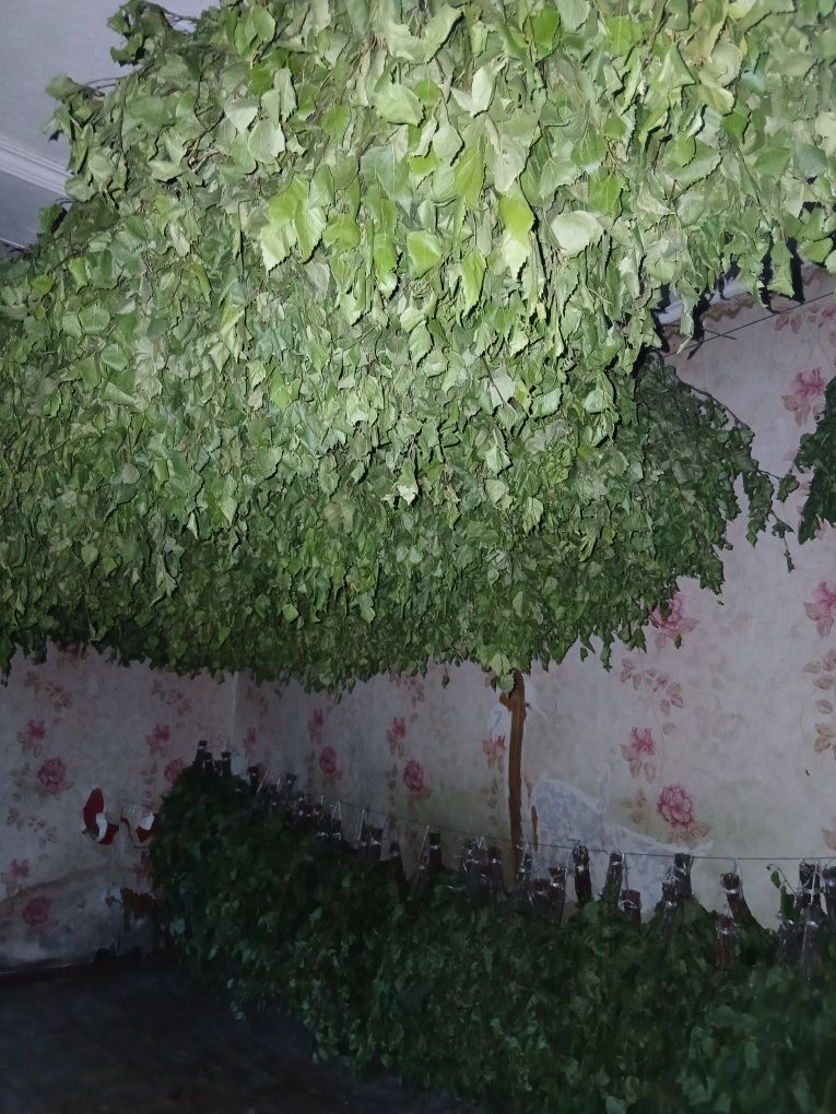Продам банный берёзовый веник