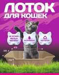 Одноразовый лоток